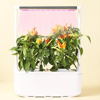 China Europe Smart Timer LED Grow Light Hydroponic Indoor Growing Pot Garden Systems Self Watering Plant Growbox for sale