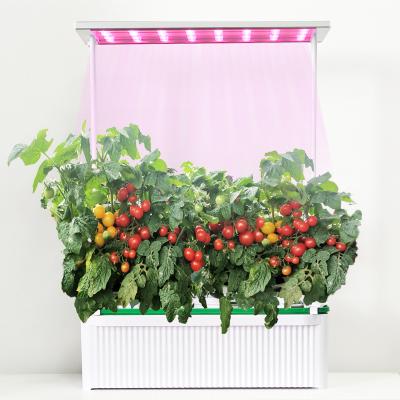 China Greenhouse Hydroponics System Large Medicinal Plants Grow Growing System Vertical Commercial Hydroponics Garden System Smart Hydroponic Kit for sale