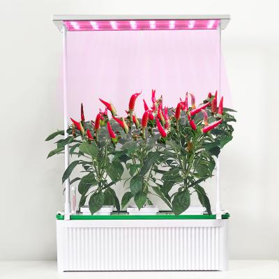 China Seed Starting Large Novedades Smart Indoor Hydroponic Growing Systems Full Grow Kit Double Ended Hidroponia Novedades VEG LED Grow Light for sale