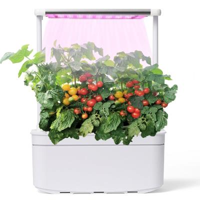 China Multi Greenhouse Hydroponics System Home Grow Systems Container Farm Herb Garden Herb Garden Irrigation&Hydroponics Indoor Office Hydroponics Vertical Growing eqiupment for sale