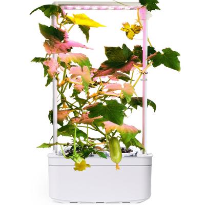 China Multi Grow Hydroponic Home Grow Container Indoor Office Farm Herb Garden Systems Vertical Irrigation Hydroponics Hydroponics Equipment for sale