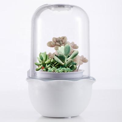 China Promotinal 2021 Hot Selling New Product Ideas Business Ideas Gift Eco Friendly Promotional Item Smart Planters Trends New Ideas 2022 for sale