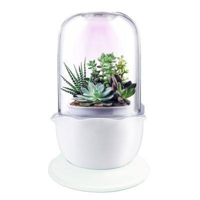 China Multifunctional Smart Home Fragrance Ideas Gifts 2021 New Products Unique Aroma Planter Household Succulents Aroma Diffuser for sale