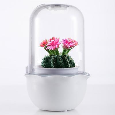 China 2021 Promotinal New Instruments 2021 Mini Pot Innovative Smart Creative Creative Gifts Gift Idea Innovative Product Idea Succulent Gifts for sale