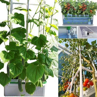 China Greenhouse Hydroponics System Drop Shipping Smart Hydroponics System Home Vertical Planting Growing Box Indoor Grow Good Home Office Vegetable Growing System for sale