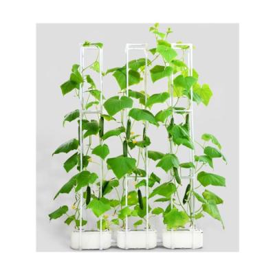 China Farms Cultivation High Quality Vegetable Planting Hydroponic System for sale