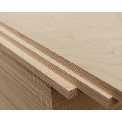 China Contemporary Cheap Linyi Plywood Sheet 4x8 16mm Birch Plywood In Construction for sale