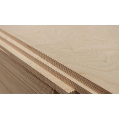 China 5mm 18mm contemporary cheap hardwood birch plywood commercial plywood sheet for furniture for sale