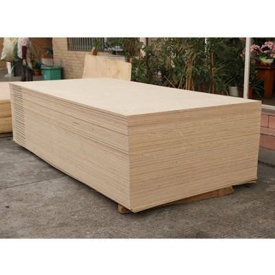 China Contemporary wholesale cheap 16mm 18mm hardwood plywood birch board plywood with price for sale