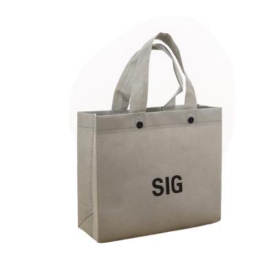 China Wholesale Online Shopping Custom Color Rope Handle Logo Pp Tote Carry Ecological Nonwoven Bag for sale