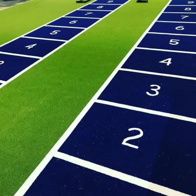 China Home Gym or Studio/Commercial Gyms/Personal Backyard Artificial Grass with Eco Friendly No Glue Backing Customize Logo Artificial Grass Gym Turf Gym Grass Turf for sale