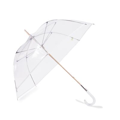 China New Arrival OEM Custom Promotional Bubble PVC Wedding White Transparent Clear Umbrella for sale