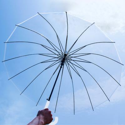 China China Promotion Coastal Rain 16Ribs Special Dome Clear Transparent Umbrellas for sale