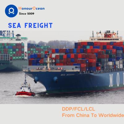 China 30days free storage freight forwarder agent ddp sea rail shipping service from China to Hungary, Portugal, Bulgaria, Estonia, Lithuania for sale