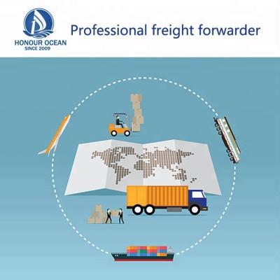 China China Fly International Logistics Co Ltd Freight Forwarder Agent Shipping Rate From China Shenzhen To South Africa Johannesburg Logistics Service Provider for sale