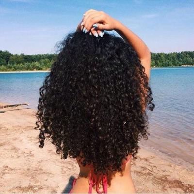 China Hot Selling HD Brazilian Curly 13x6 Hair Lace Front Wig Pre Plucked Curly Curly Style Lace Front Wig For Black Women for sale