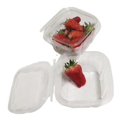 China 100% Food Grade Materials Hot Sale Disposable Packaging Clear PET Storage Fruit Containers For Food for sale