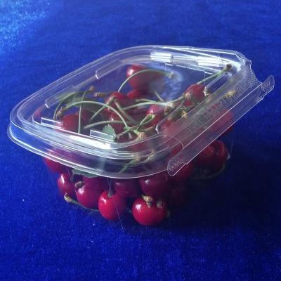 China Disposable Thermoform Food Packaging Disposable Tamper-Resistant Moisture Proof Container With Lids for sale