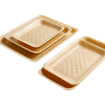 China Dear Biodegradable Chicken Packing Trays Chicken Pla Food Packing Tray Foam Food Tray Foam Plating Trays for sale