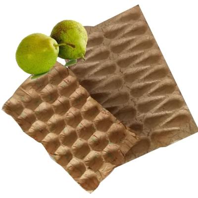 China China Seller GUOLIANG Fruit Liner Biodegradable Tray For Mango Apple Avocado for sale