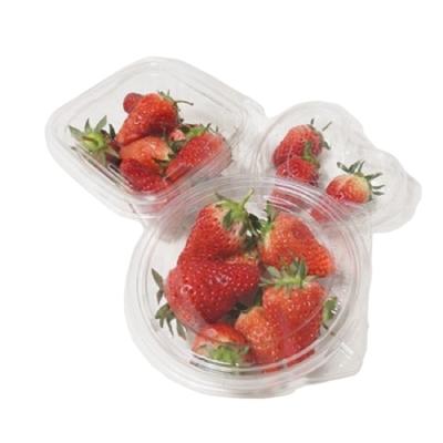 China 100% Food Grade Materials Tamper Resistance Plastic Containers 16 Ounce Plastic Containers With Lids for sale