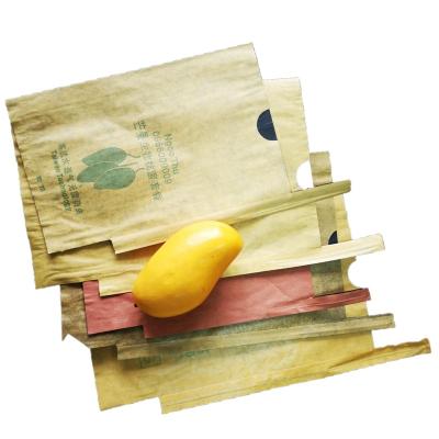 China Suistainable Mango Cover Disposable Paper Bag Wax Coated Fruit Pad Bag Supplier for sale