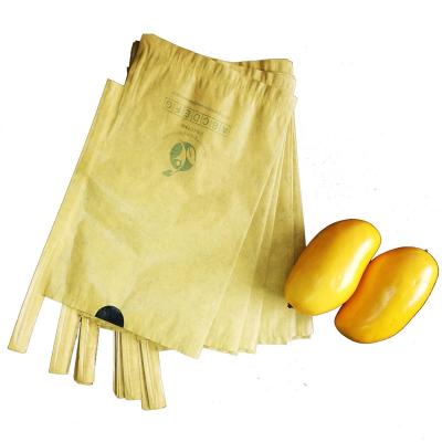 China Manufacturerfruit full degradation packaging gift wrap apple fresh paper bag for sale