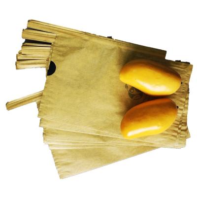 China Disposable UV Protection Mango Wrapping Bag for sale