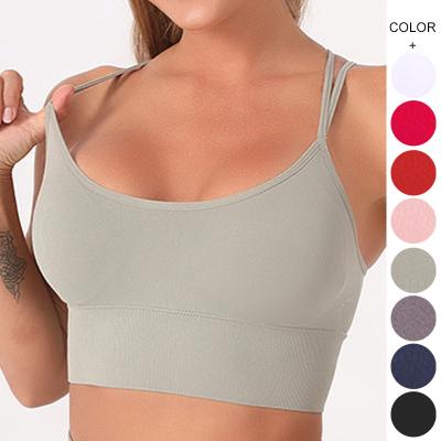 China Best Price Breathable Women's Seamless Gym Clothing Breathable Summer Spring Sports Bra for sale