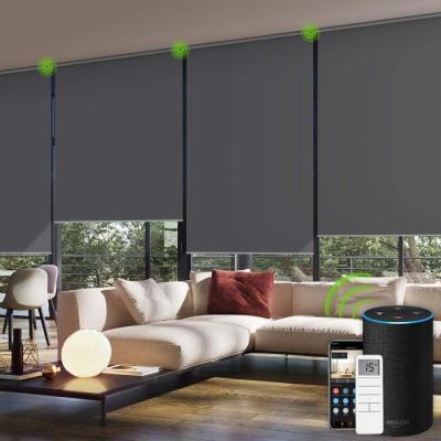 China Durable Indoor Roller Shade Roller Blind Plug & Play Automatic Roller Blinds for sale