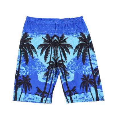 China Plus Size 2021 New Seaside Loose Nylon Beach Travel Leisure Shorts Printed Five Point Swimming Shorts for sale