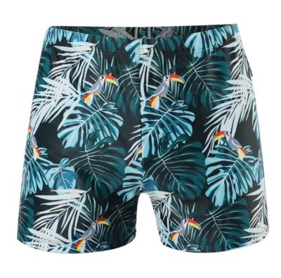 China Plus Size 2021 New Men's Swimming Trunks Boxer Solid Color Hot Spring Large Size Loose Maple Leaf Printing Swimming Trunks for sale