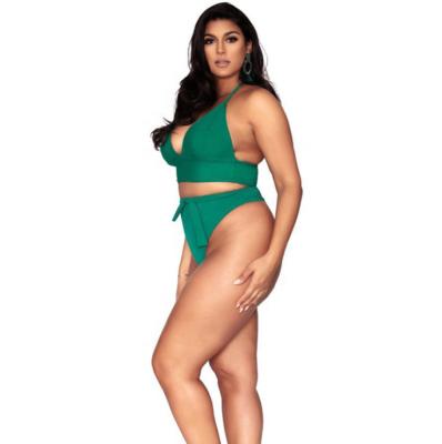 China Plus size 2021 new summer swimwear ladies slim extra large conservative launch split female swimwear for sale