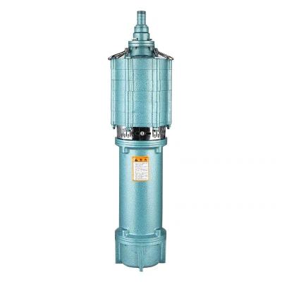 China QD Summersible Motor Copper Core Discharge Water High Lift Household Garden Auto Industry 220v Sprinkler Industrial Pump for sale