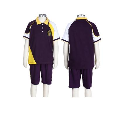 China Unisex summer school sports anti-pilling uniform shirt and short set for school kids and girls for sale