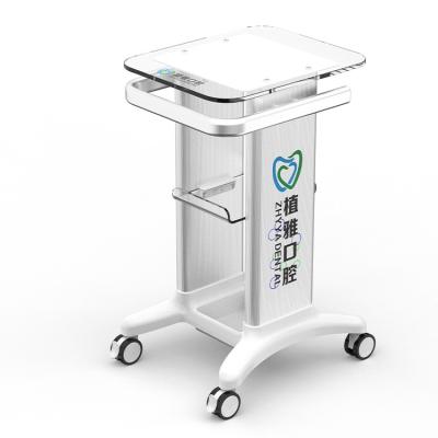 China Free Sample Modern Modern Cavitation Laptop Cart Hair Salon Equipment Solid Wood Trolley With 2 Layers for sale