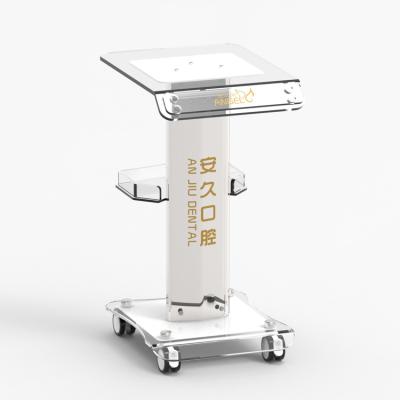 China Modern shelf for beauty machine /spa heavy duty rack machine /portable machine carts for spa for sale