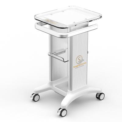 China 2 Drawer Salon Trolley Beauty Tool Trolley Modern High Quality Mobile Trolley for sale