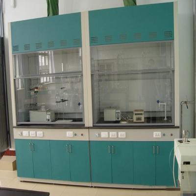 China Lab Field Customized Chemical Lab Steam Hood Manufacturer for sale