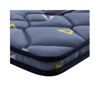 China Online Luxury Flippable Mattress Order Size Tatami Anti-mite And Furniture Dustproof Mattress for sale