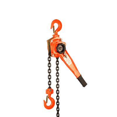 China Hotel Manufacturers Direct Selling 6 Ton 3 Meter Lever Hoist Crane For Transportation for sale