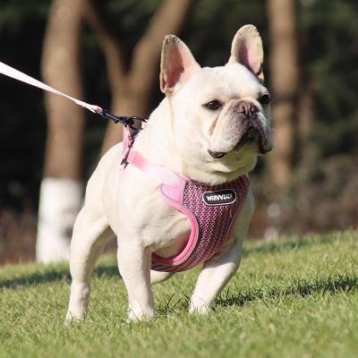 China 2022 New Custom Safety Pet Chest Harness Breathable Comfortable Dog Cat Leashes And Chest Harness for sale