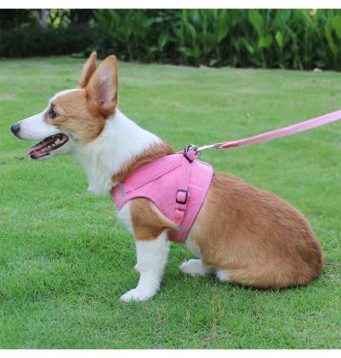 China Sale Pet Chest Harness Fall And Winter Dog Teddy Bear Chest Harness Viable Warm Dog Vest Style Reflective Leash for sale