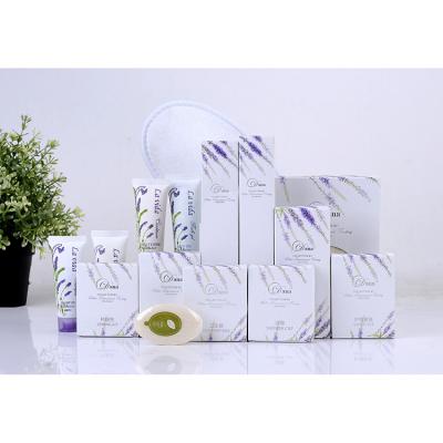 China Luxury/ECO/Economic Wholesale Five Star Hotel Customized Logo Guest Room Amenities for sale