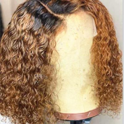 China 1b/30 High Quality Brown Kinky Curly Wigs Ombre Blonde Short Dark Blonde Curly Wig Lead Wig 1b/30 Lead Wig for sale