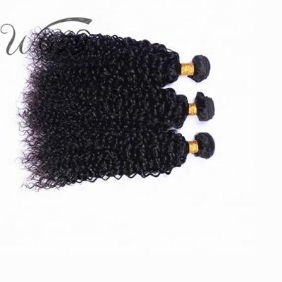 China Wholesale Fast Shipping Remy Bundle 16inch - 30inch Wet And Wavy Brazilian Hair Body Wave Water Wave Bundles for sale