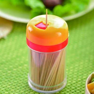 China Disposable bamboo wooden toothpicks with jar for sale