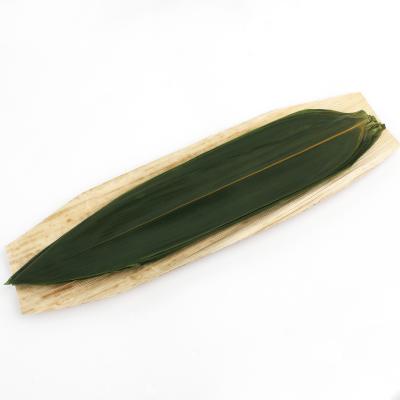 China Party Item Sushi Bamboo Fresh Leaves for sale