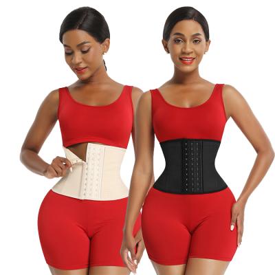 China Custom QUICK DRY Fitness Shaper Womens Waist Trainer Dropshipping Logo Shapewear For Women Waist Trainer for sale