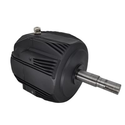 China BOAT Manufacture Professional Cheap High Torque Permanent Magnet Brushless Motor for sale